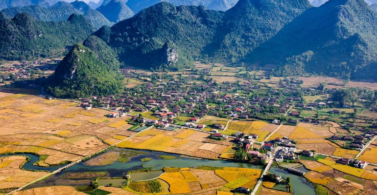 When paddy fields cast a golden glow in Northern Vietnam