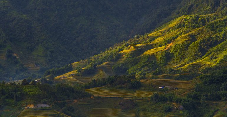 Five destinations with terrific terraced fields for an October visit in Vietnam